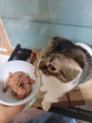 오남매맘님이 올린 리뷰 사진 3