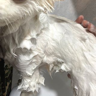 지레씨님이 올린 리뷰 사진 4