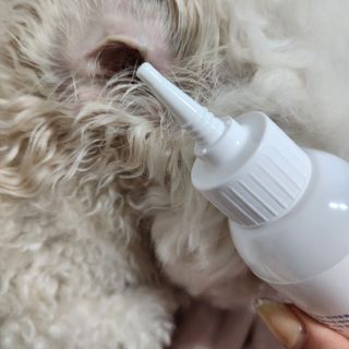 [댕모어 클리너 3종] 아이클리너 / 이어클리너 / 덴탈클리너 3종 세트 (120ml) — 5점을 준 리뷰어가 2023년 9월 올린 사용 사진