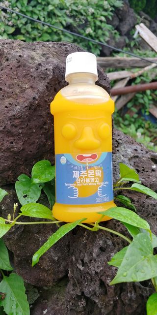 탐라원 제주의 맛, 몬딱주스 4종세트 - 한라봉몬딱주스, 천혜향몬딱주스, 청귤에이드, 당근몬딱주스 — 5점을 준 리뷰어가 2021년 8월 올린 사용 사진