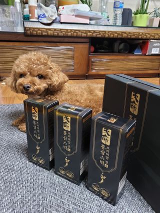 헬스업_천명진프리미엄홍삼스틱_10ml x 30포 — 5점을 준 리뷰어가 2021년 2월 올린 사용 사진