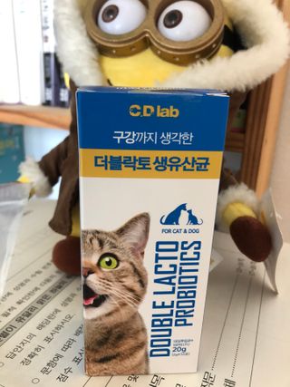 씨디랩 구강에서 장까지 한 번에 관리하는 더블락토 강아지 고양이 유산균 — 5점을 준 리뷰어가 2021년 6월 올린 사용 사진
