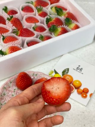 옳음 딸기 논산 설향 딸기 900g 산지직송 — 5점을 준 리뷰어가 2021년 1월 올린 사용 사진