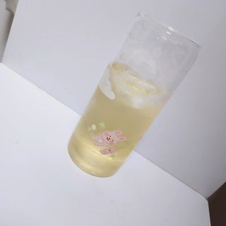 [경남제약헬스케어] 케어플러스 리셋 다이어트 청포도맛 100ml X 5포 (5일분) — 5점을 준 리뷰어가 2023년 4월 올린 사용 사진