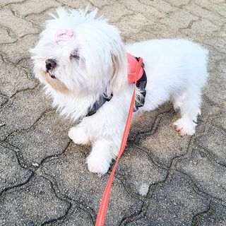 banew님이 올린 리뷰 사진 2