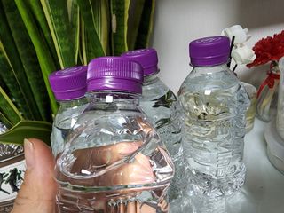 황금나무님이 올린 리뷰 사진 2