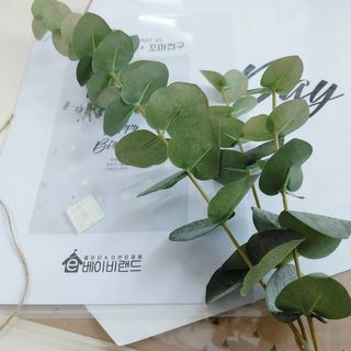 두빛나래님이 올린 리뷰 사진 4