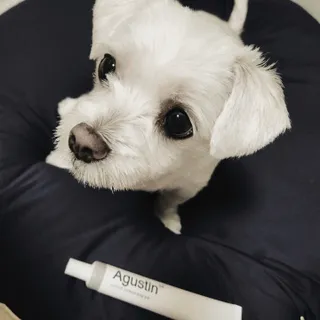 뿜뿜님이 올린 리뷰 사진 1