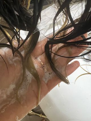 free [아토르] 9종 임상완료 아토르 다름 샴푸바_블랙  프리미엄 두피 케어 샴푸바 — 5점을 준 리뷰어가 2023년 11월 올린 사용 사진