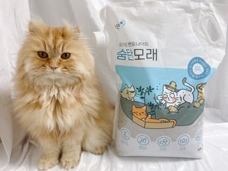 꼬미호네님이 올린 리뷰 사진 1