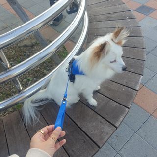 에일린님이 올린 리뷰 사진 2