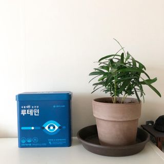 서울약사신협_내몸애눈건강루테인_2g x 50포 — 5점을 준 리뷰어가 2020년 12월 올린 사용 사진