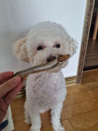 귀요미두공주맘님이 올린 리뷰 사진 3