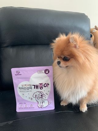 My Pet Care 천연단백질 치아건강에 개좋아 — 5점을 준 리뷰어가 2020년 12월 올린 사용 사진