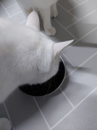귤양님이 올린 리뷰 사진 4