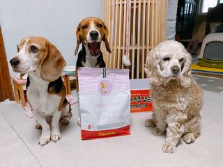 솔탄이love님이 올린 리뷰 사진 2