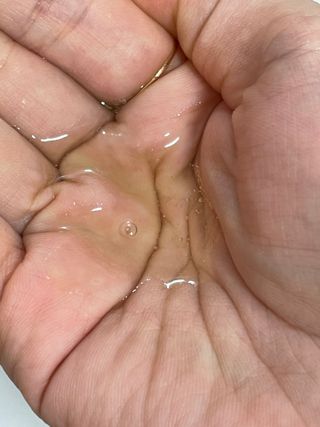 스킨큐어 산다화 순한 클렌징 동백 오일 200ml — 5점을 준 리뷰어가 2023년 5월 올린 사용 사진