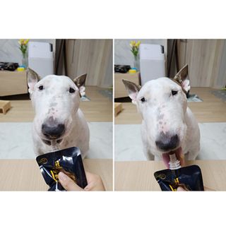 단발모리님이 올린 리뷰 사진 3