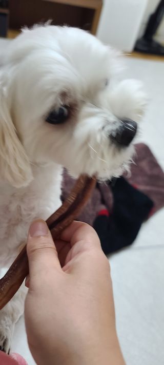 삐랭이님이 올린 리뷰 사진 3