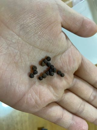 똥기사의 케이푸드 화이버슬림 — 4점을 준 리뷰어가 2021년 1월 올린 사용 사진