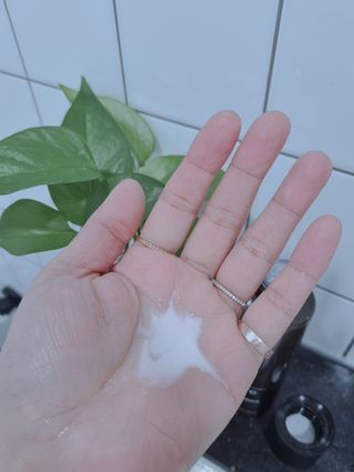 신현미님이 올린 리뷰 사진 1