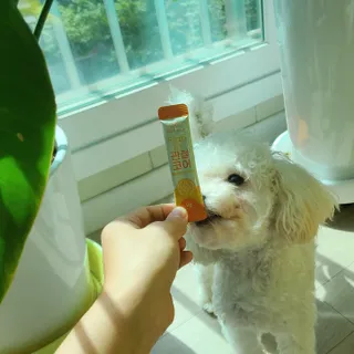 열매님이 올린 리뷰 사진 4