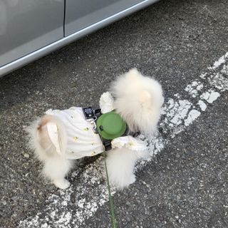sunny님이 올린 리뷰 사진 1