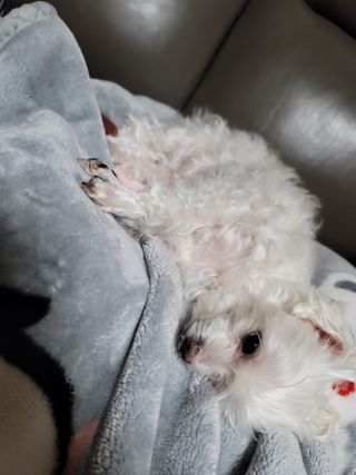 끌랑님이 올린 리뷰 사진 1
