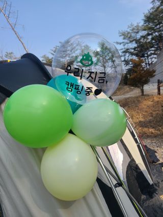 요하님이 올린 리뷰 사진 2