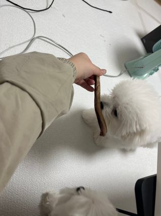 린짱님이 올린 리뷰 사진 4