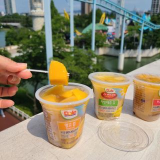 돌 MF[Dole] 파인애플컵/망고컵/복숭아컵 198g 6입X1박스 (맛 1가지 랜덤 발송) — 5점을 준 리뷰어가 2023년 6월 올린 사용 사진