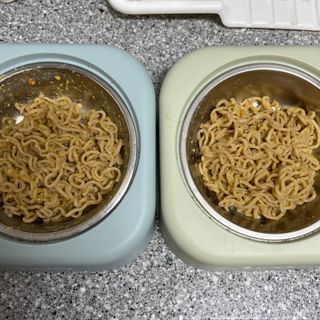 안심댕면 강아지라면 5봉지+쓰담쓰담 종합영양제 2스틱 샘플 증정 — 5점을 준 리뷰어가 2022년 8월 올린 사용 사진