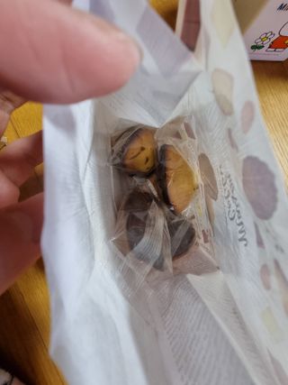 [메종콜리브리] 프랑스 마들렌 메종콜리브리 초콜릿 마들렌 2팩 — 5점을 준 리뷰어가 2022년 2월 올린 사용 사진