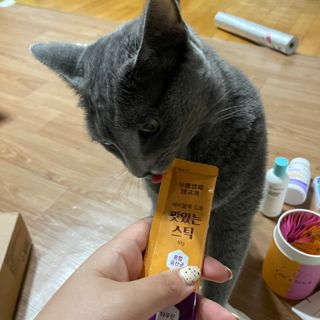 페페로니 맛있는 스틱 - 무항생제 닭고기 15개 + 알래스카 연어 15개 — 5점을 준 리뷰어가 2021년 9월 올린 사용 사진