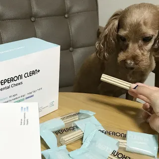 HAHA님이 올린 리뷰 사진 2