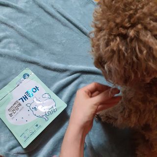 My Pet Care 천연단백질 눈건강에 개좋아 — 5점을 준 리뷰어가 2020년 12월 올린 사용 사진