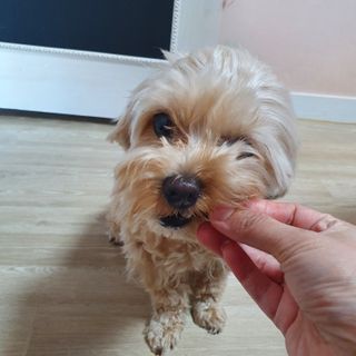 아코맘님이 올린 리뷰 사진 3