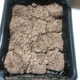 문라이트님이 올린 리뷰 사진 4