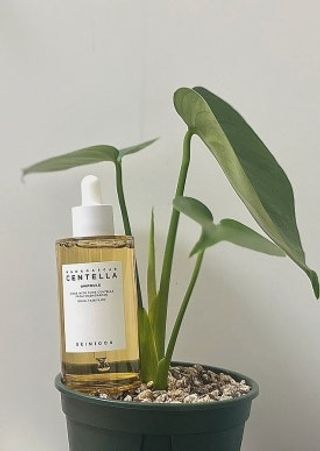 [스킨1004] 마다가스카르 센텔라 앰플 100ml — 5점을 준 리뷰어가 2024년 6월 올린 사용 사진