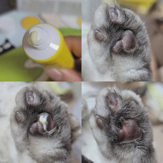 유햐님이 올린 리뷰 사진 3