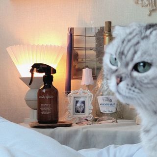 유햐님이 올린 리뷰 사진 1