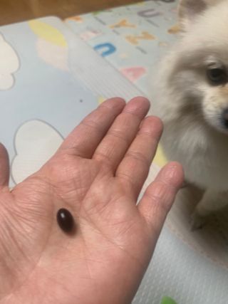 별이빛나길님이 올린 리뷰 사진 3