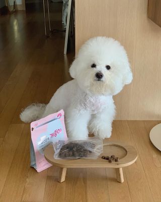 윤긍정님이 올린 리뷰 사진 4