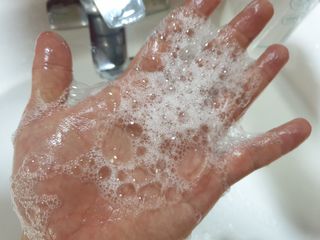 [닥터문] 센텔라 시카케어 화이트머스크 바디워시 1000ml — 5점을 준 리뷰어가 2023년 8월 올린 사용 사진