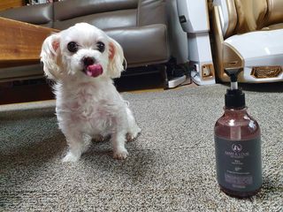 마리앤루이펫샴푸 [mari and louie pet shampoo] — 5점을 준 리뷰어가 2021년 5월 올린 사용 사진