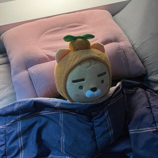 브랜드K 플래그십스토어 [브랜드K X 가온힐 코튼샤워]편백 인서트 베개, 편백파우치, 높이조절 솜파우치 — 5점을 준 리뷰어가 2022년 1월 올린 사용 사진