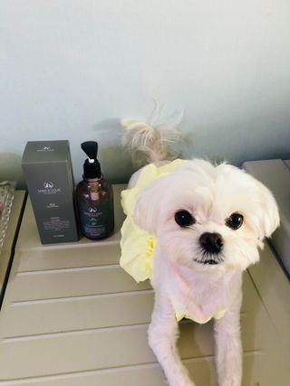 뱁새♥︎님이 올린 리뷰 사진 4