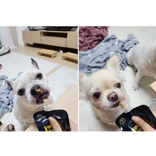 단발모리님이 올린 리뷰 사진 4