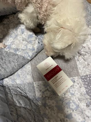 펫21 그로그로 5종 강아지 고양이 반려동물 한방 영양제 — 5점을 준 리뷰어가 2021년 11월 올린 사용 사진