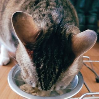 Naimy님이 올린 리뷰 사진 2
